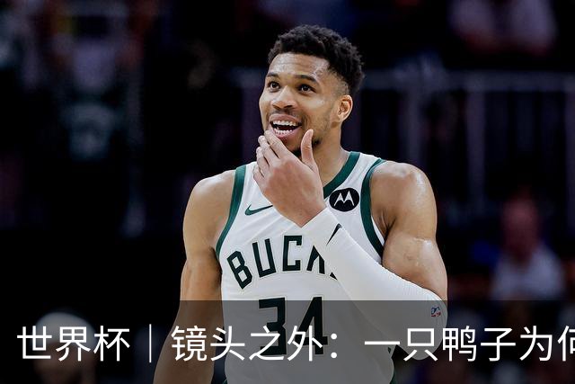 世界杯｜镜头之外：一只鸭子为何火遍世界杯？